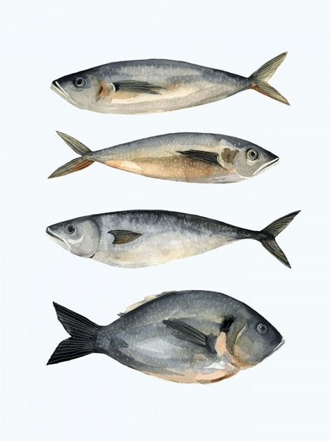 Four Fish I