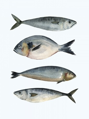 Four Fish II