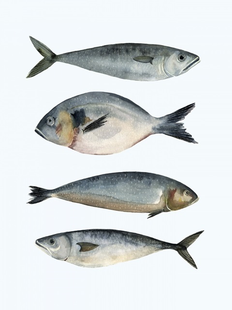 Four Fish II