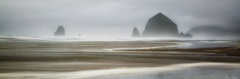 From Cannon Beach I