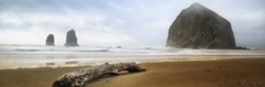 From Cannon Beach II