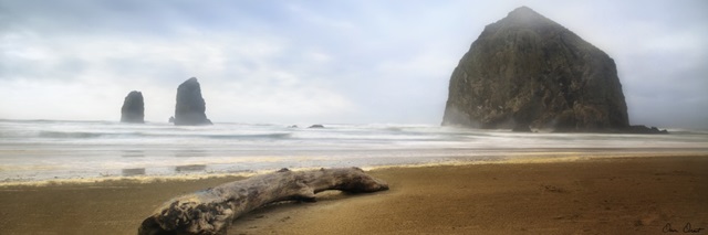 From Cannon Beach II