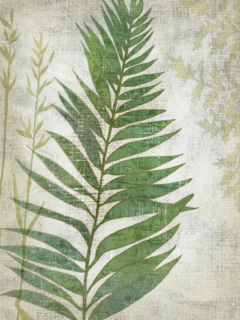 Frond I