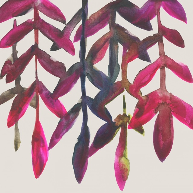 Fuchsia Vine I