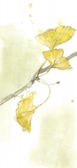 Ginkgo Triptych II