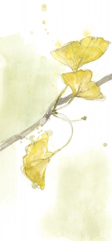 Ginkgo Triptych II