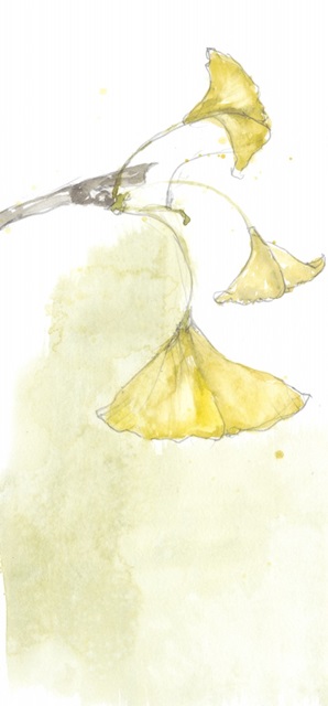 Ginkgo Triptych III