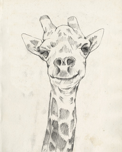 Giraffe Portrait I