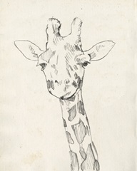 Giraffe Portrait II