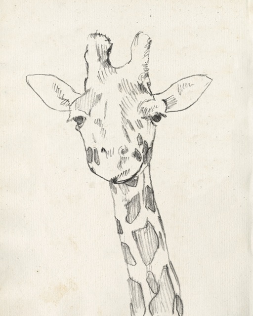 Giraffe Portrait II