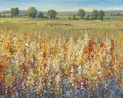 Gold and Red Field I