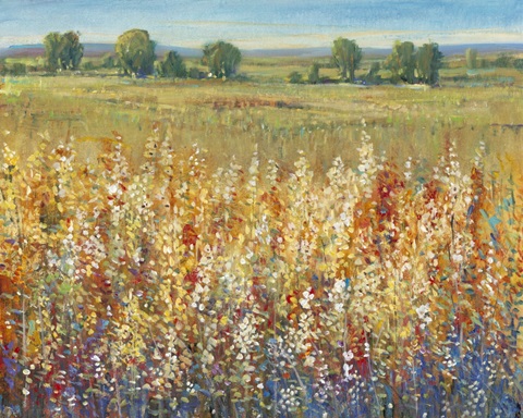 Gold and Red Field I