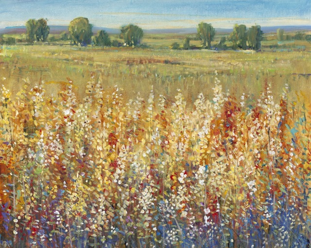 Gold and Red Field I