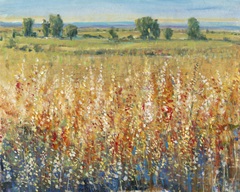 Gold and Red Field II