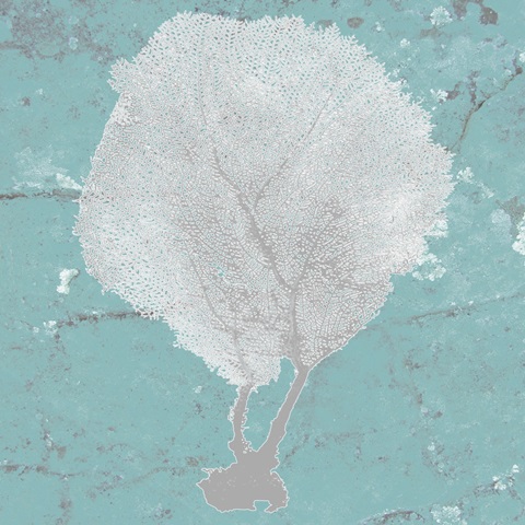 Graphic Sea Fan II