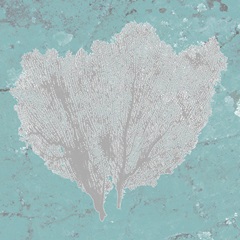 Graphic Sea Fan IV