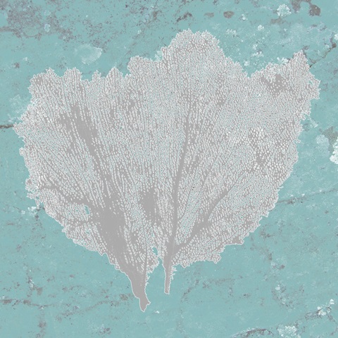 Graphic Sea Fan IV
