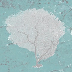 Graphic Sea Fan IX