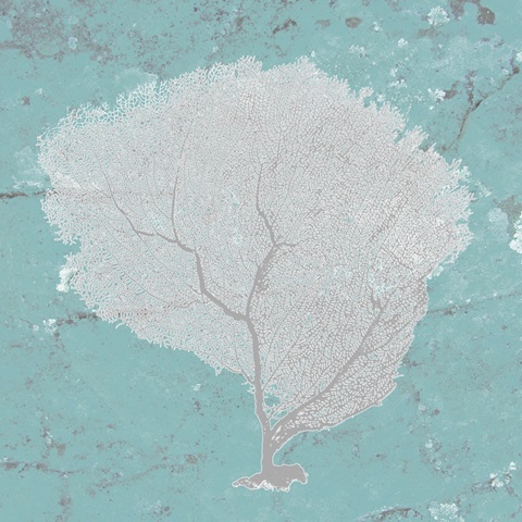 Graphic Sea Fan IX