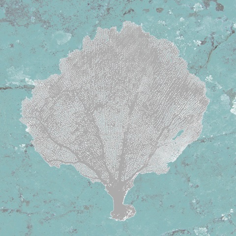Graphic Sea Fan V