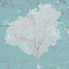 Graphic Sea Fan VII