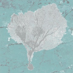 Graphic Sea Fan VIII