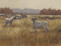 Grazing Goats I