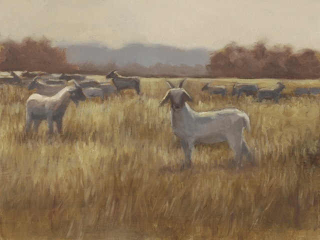 Grazing Goats I