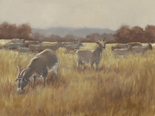 Grazing Goats II