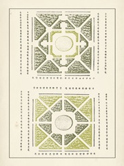 Green Garden Maze IV