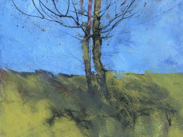 Heathland Tree Study