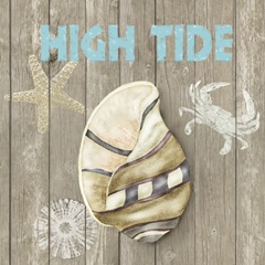 High Tide Shoreline I
