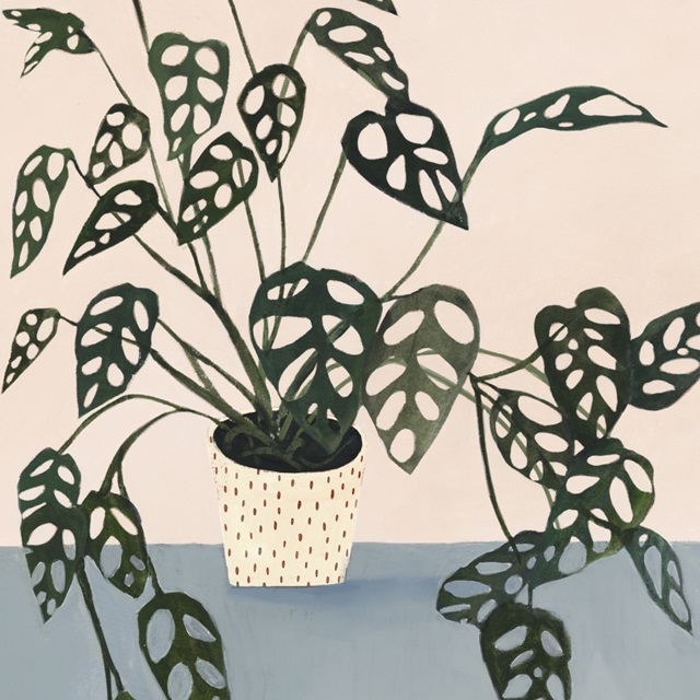 Houseplant I