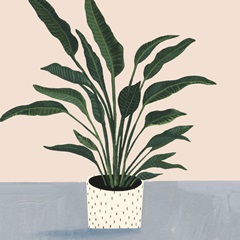 Houseplant IV