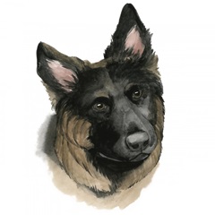 Human's Best Friend II