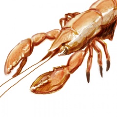 Illustrated Lobster I