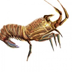 Illustrated Lobster II