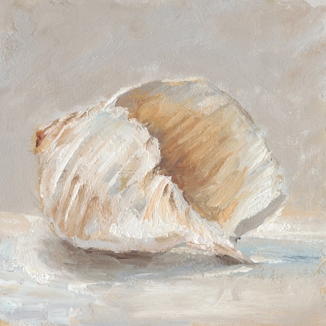 Impressionist Shell Study IV