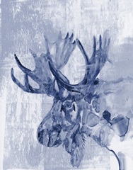Indigo Moose