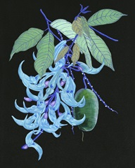 Jade Vine II