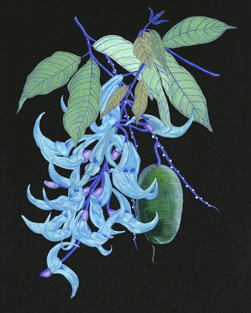 Jade Vine II