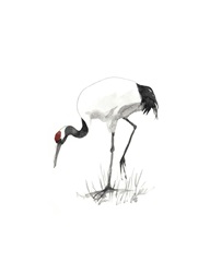 Japanese Cranes II