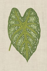 Leaves on Linen I