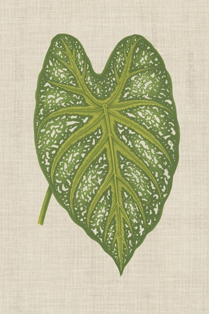 Leaves on Linen I