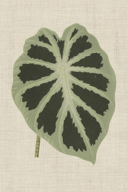 Leaves on Linen II