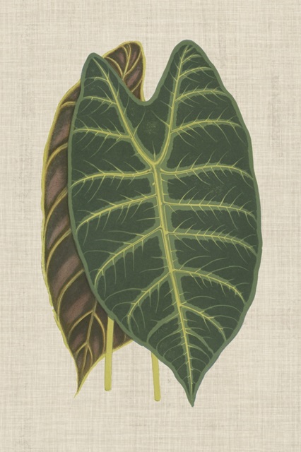 Leaves on Linen III