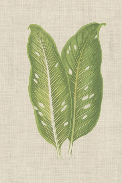Leaves on Linen V