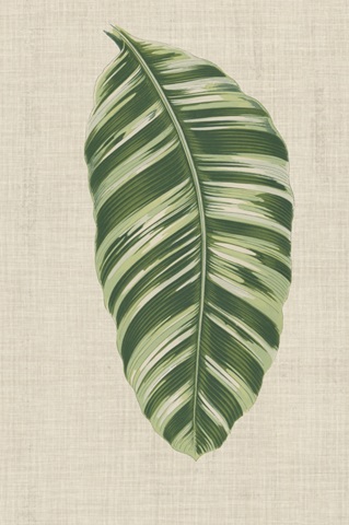 Leaves on Linen VI