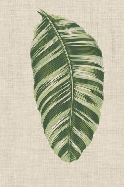 Leaves on Linen VI