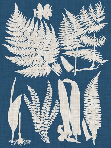 Linen and Blue Ferns I
